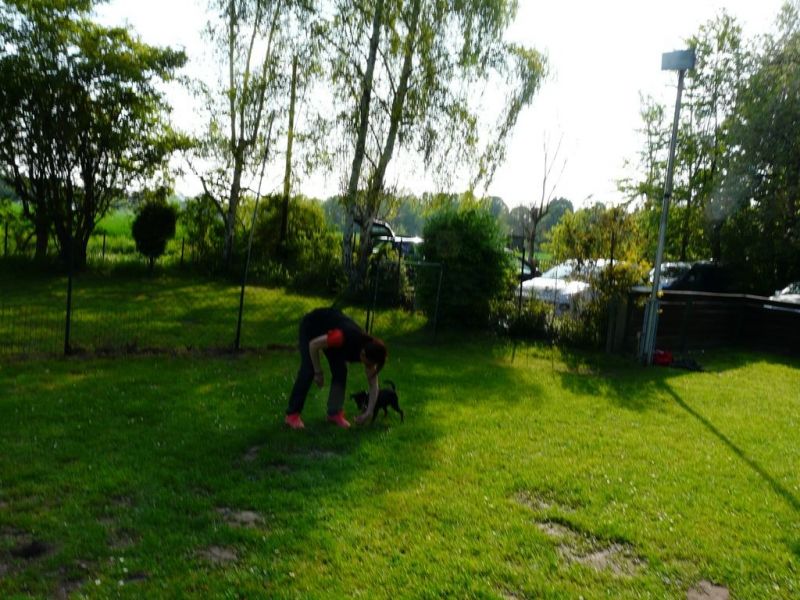 workshop t morgenstern 1a