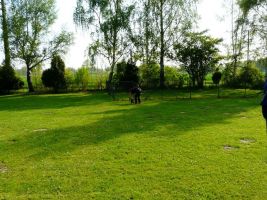 workshop t morgenstern 1a