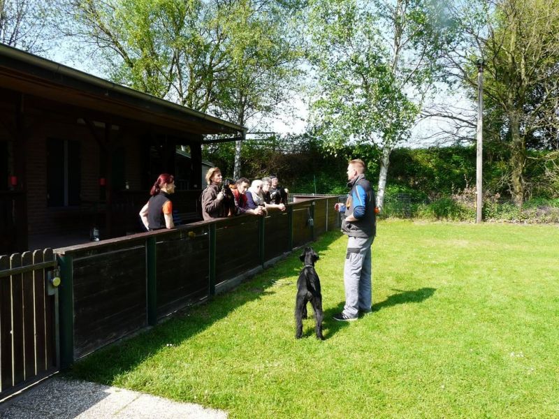 workshop t morgenstern
